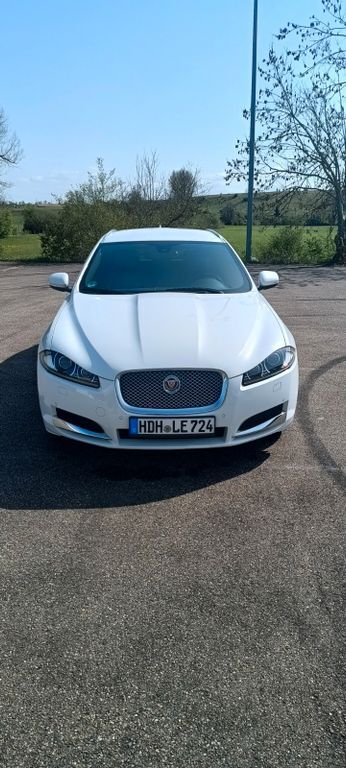 XF