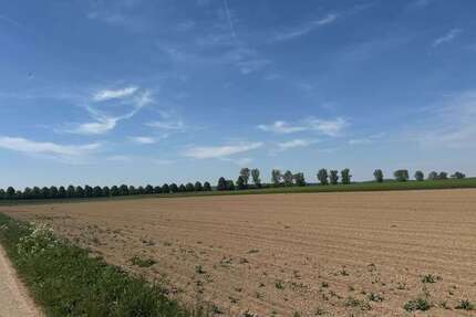 Grundstück zu verkaufen in Blaustein 60.000 € 7831 m²