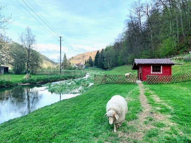 Ideale Single-Whg. in Blaustein-Lautern für Leute mit besonderem Geschmack! 3 zimmer