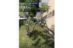 Apartment in Sweti Wlas Bulgarien