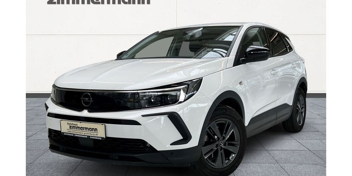 Opel Grandland (X) 42.415 km 21.750 € Günzburg 89312