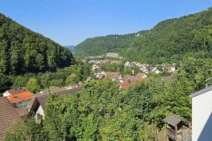 Haus zum Kaufen in GeislingenEybach 495.000 € 256 m²