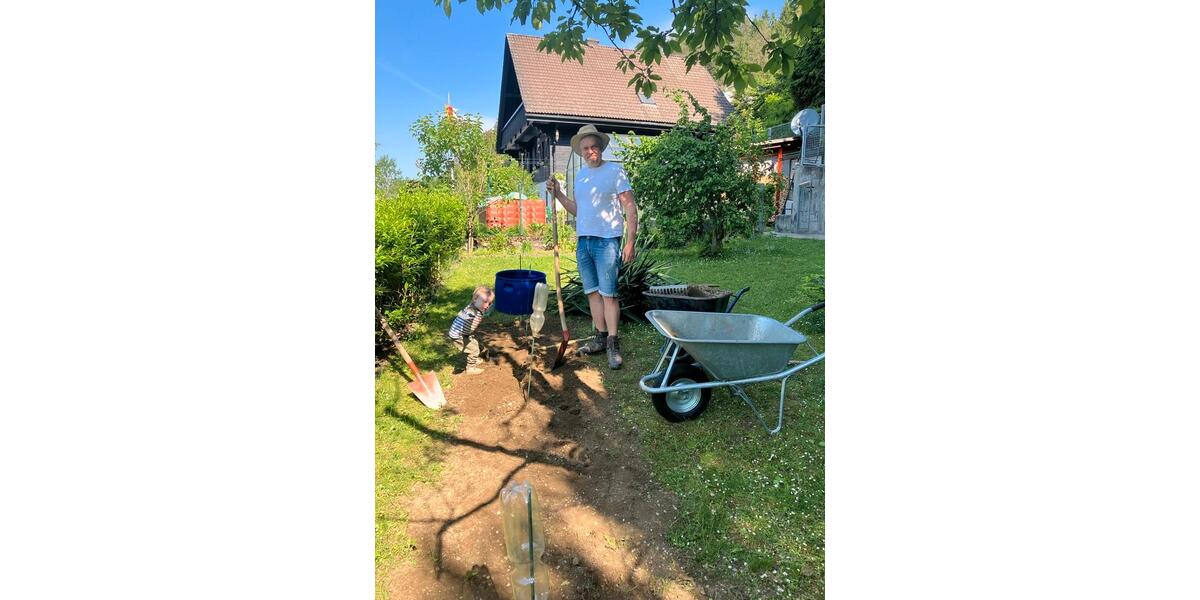 Einfamilienhaus Erbach - 580.000&euro; | Angebot:26391095