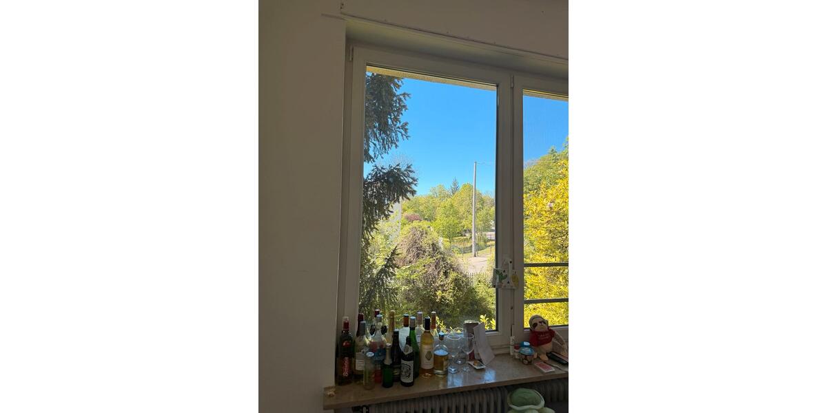 Etagenwohnung Ulm Obertalfingen - 1 Zimmer, 30 m&sup2;, 540&euro; | Angebot:26448420