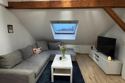 Wohnung Langenau - 2 Zimmer, 50 m&sup2;, 550&euro; | Angebot:25876524