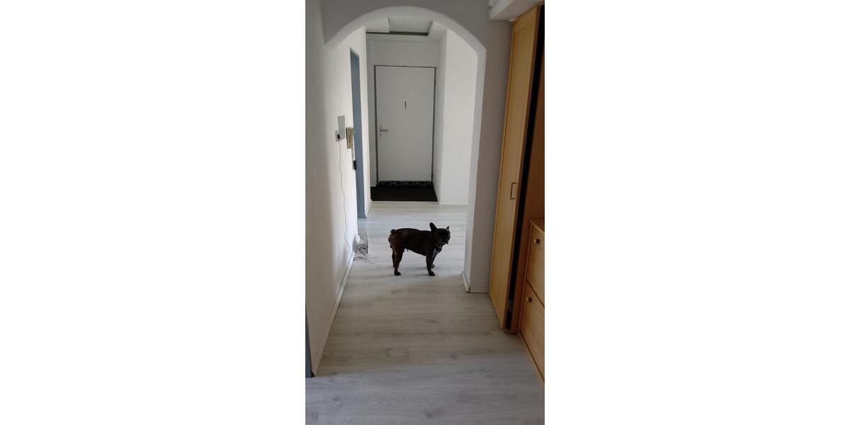 Erdgeschoßwohnung Ulm Obertalfingen - 3.5 Zimmer, 78 m&sup2;, 250.000&euro; | Angebot:24766671