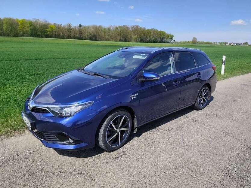 Auris