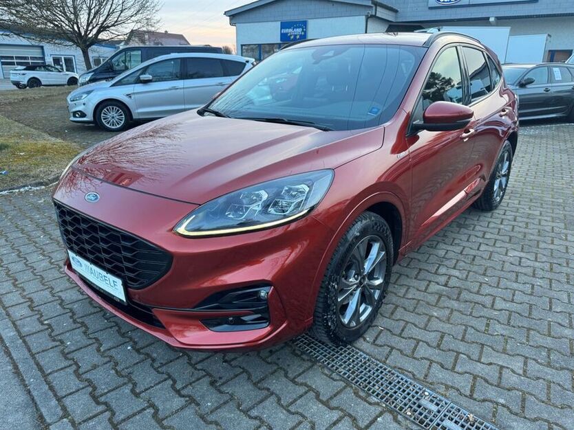 Kuga