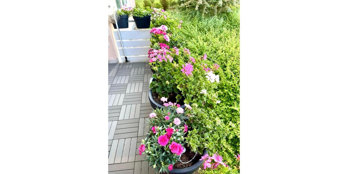 Erdgeschoßwohnung Herbrechtingen - 3 Zimmer, 86 m&sup2;, 279.000&euro; | Angebot:25800326