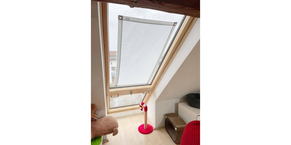 Einfamilienhaus Neu-Ulm Reutti - 1 Zimmer, 304 m&sup2;, 825.000&euro; | Angebot:24871556