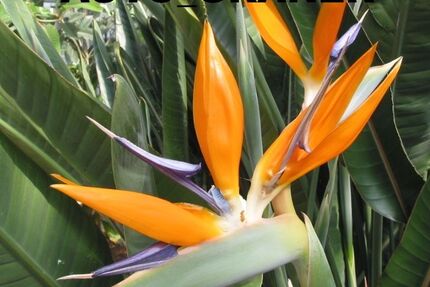 Suzuki Grand Vitara 67.000 km 13.680 € Neu-Ulm 89231