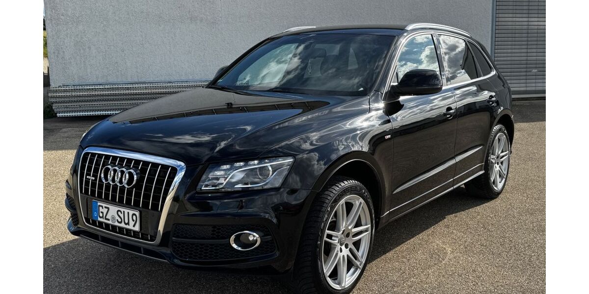 Audi Q5 250.000 km 9.999 &euro; Kötz 89359