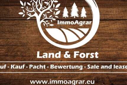 Grundstück Kleinkötz - 105.000&euro; | Angebot:27392177