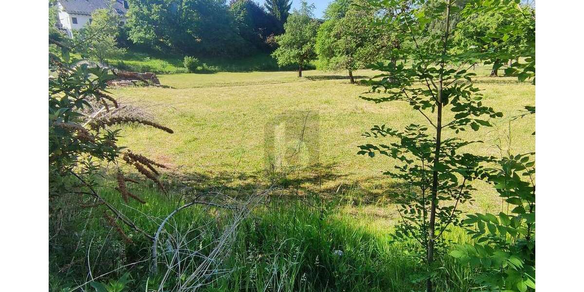 Grundstück Balzheim - 150.000&euro; | Angebot:26949210